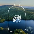 thumbnail image 5 of Poland Spring 100% Natural Spring Water, 1 gal., 6 pk., 5 of 8