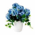 thumbnail image 1 of Artificial 26" Hydrangeas with Mixed Ivy in Ceramic Planter - White, Blue, or Pink, 1 of 5