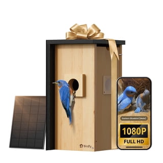Birdfy Solar Powered Nest Smart Bird House with Camera
