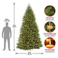 thumbnail image 7 of National Tree Company 10' Dunhill Fir Pre-Lit Christmas Tree, 7 of 8