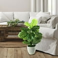 thumbnail image 4 of Faux 34" Split Leaf Philodendron in Ribbed Ceramic Planter, 4 of 5