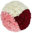 thumbnail image 1 of Member's Mark Carnations, Choose color and stem count, 1 of 5