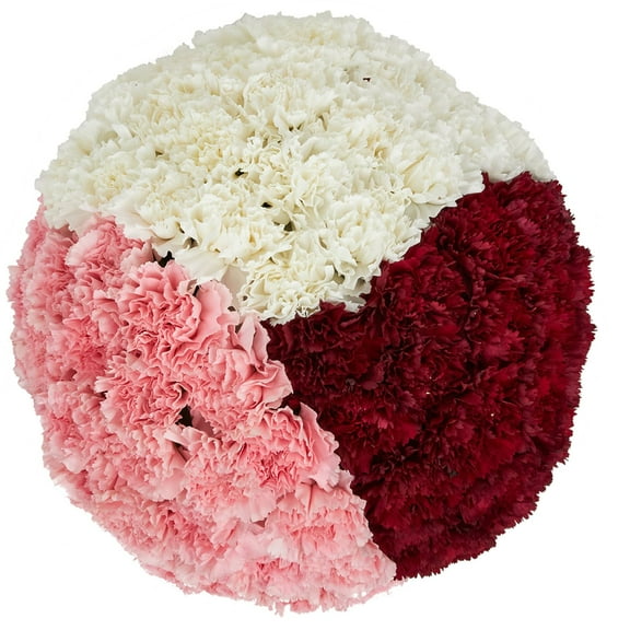 Member's Mark Carnations, choose color and stem count