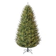 thumbnail image 5 of Member's Mark 9' Duchess Fir Pre-Lit Christmas Tree, 5 of 10