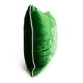 thumbnail image 3 of Licensed Decorative Pillow, 20" x 20", 3 of 7