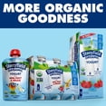 thumbnail image 6 of Stonyfield Organic Strawberry Beet Berry & Pear Spinach Mango Yogurt Pouches 8 ct, 6 of 7