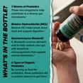 thumbnail image 6 of ONNIT Total Gut Health Supplement for Digestive Health, 84 ct., 6 of 11