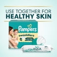 thumbnail image 13 of Pampers Aqua Pure Baby Wipes, Fragrance Free, 13 pk., 728 Wipes, 13 of 13