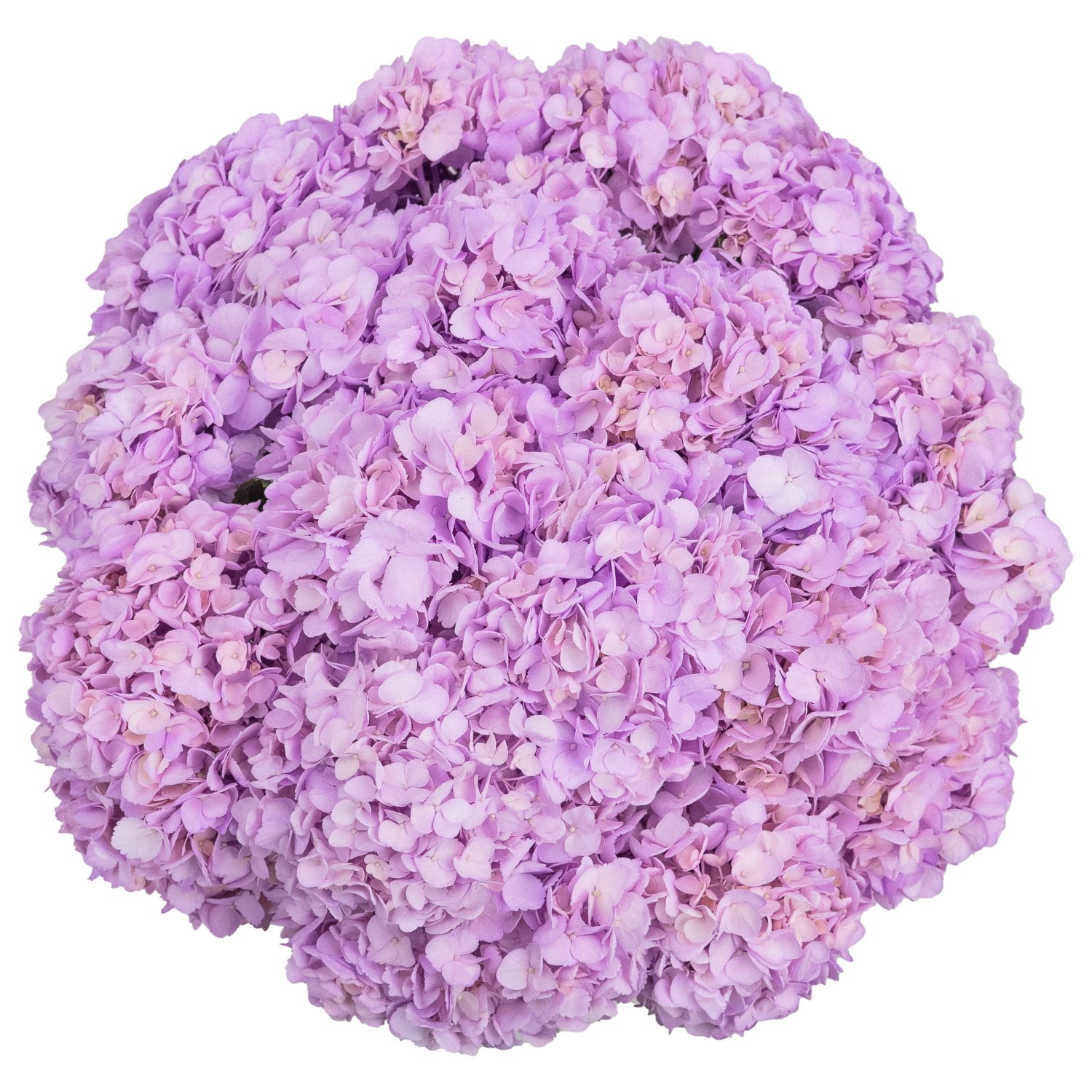 Hydrangea4937　0203 Mainstays 30.5 inch Artificial Hydrangea Flower Stem Purple