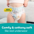 thumbnail image 3 of Pampers Easy Ups Training Pants Underwear, Sizes 2T-6T, 3 of 10