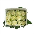 thumbnail image 5 of Member's Mark Ecuadorian Premium Roses, choose color variety and stem count, 5 of 6