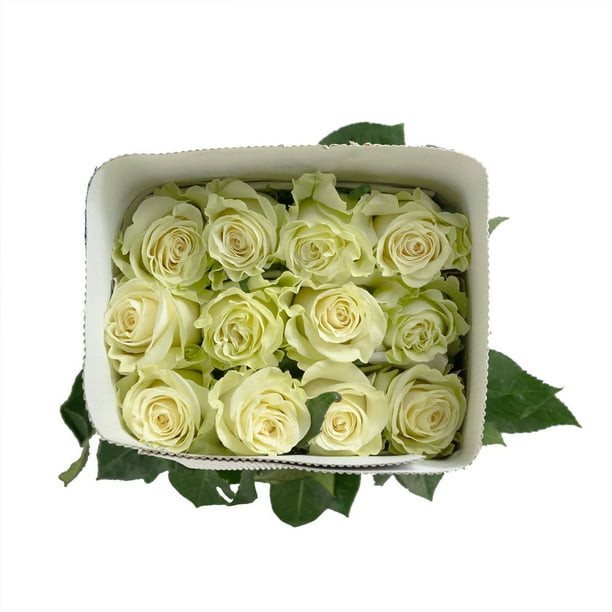 Member's Mark Ecuadorian Premium Roses, choose color variety and