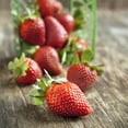 thumbnail image 5 of Member's Mark Strawberry Allstar, 40pk, 5 of 9