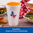 thumbnail image 4 of DART, Insulated Foam Hot and Cold Cup, Texas, 18 oz., 150 ct., 4 of 4