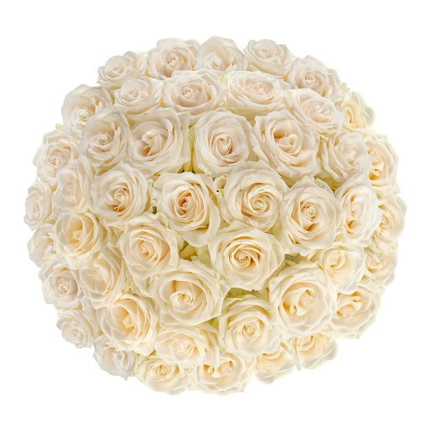 rose toy egg count Precious Moments: Porcelain Gifts, Figurines & Collectibles main image 0