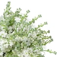 thumbnail image 5 of Member's Mark Stock, 100 stems, choose color, 5 of 7