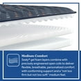 thumbnail image 5 of Sealy Modesto Medium Innerspring Mattress (Special Edition), 5 of 8
