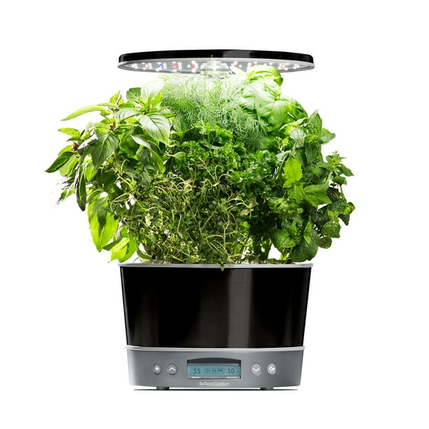 AeroGarden Harvest Elite 360 with Seed Starting System & Gourmet Herbs Seed  Pod Kit, Platinum Stainless - Samsclub.com