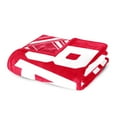 thumbnail image 5 of Logo Brands Wisconsin Badgers 60"x70" Super Plush Blanket, 5 of 6