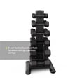 thumbnail image 6 of Centr Power Series 5-30 lb. Rubber Dumbbell Set with Rack, 6 of 7