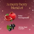 thumbnail image 5 of Glade Automatic Spray Air Freshener, Holiday Variety, 1 Device + 3 refills, 5 of 9