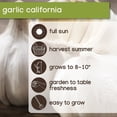 thumbnail image 7 of Member's Mark Garlic, Onions & Shallots, 200pk, 7 of 10