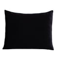 thumbnail image 6 of Kids Licensed 2-Pack Cloud Plush Pillow Set, 20" x 26", 6 of 9