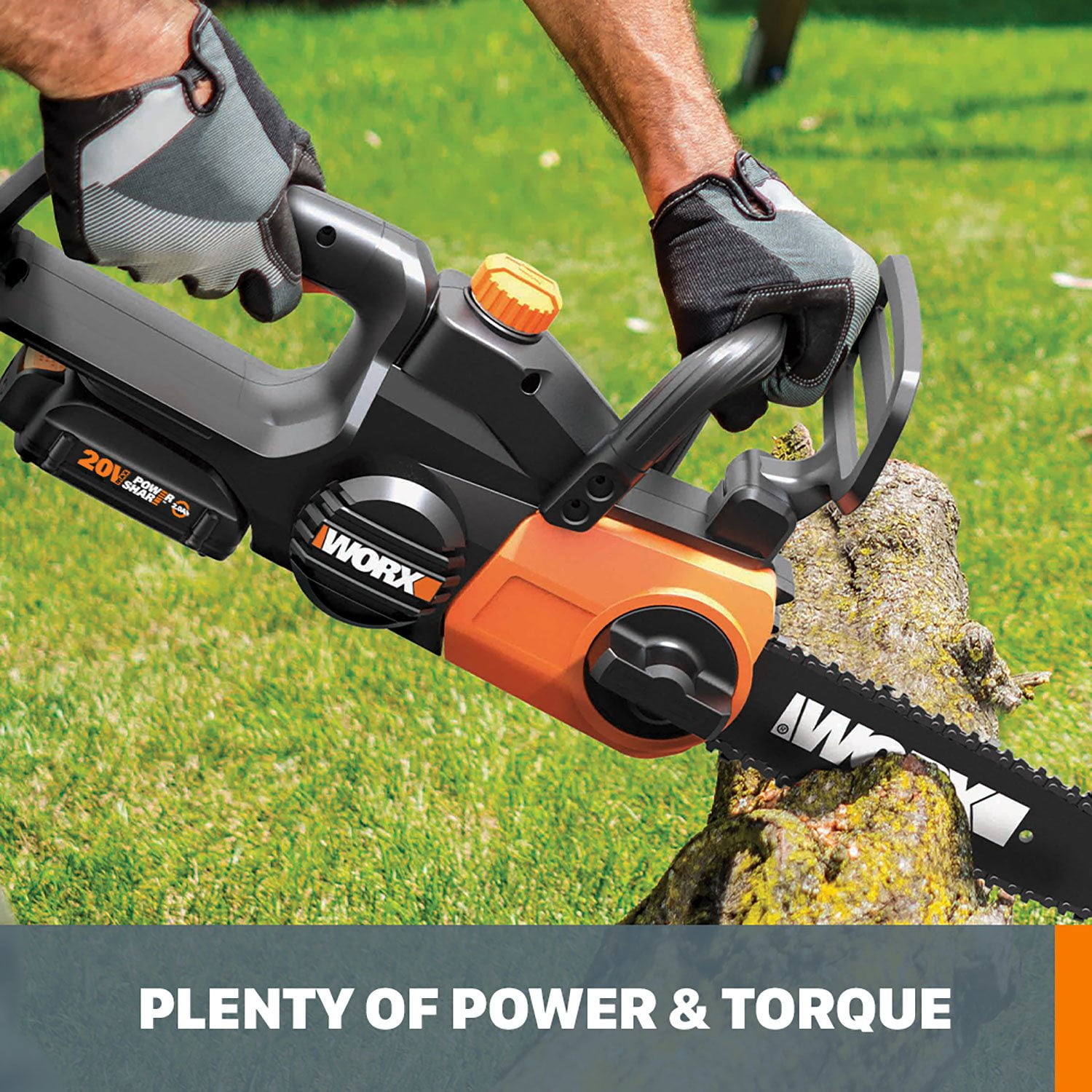 Worx 22