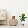 thumbnail image 2 of Faux 40" Fig Branch in White Ceramic Stand, 2 of 4