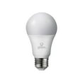 thumbnail image 2 of Globe Electric Sydney 1-Light Polished Chrome Glass Pendant with LED Bulb, 2 of 8