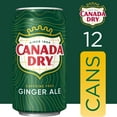 thumbnail image 4 of Canada Dry Ginger Ale 12 oz., 12 pk., 4 of 13