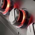 thumbnail image 4 of Member's Mark Pro Series 5-Burner Stainless Steel Propane Gas Grill, 4 of 9