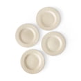 thumbnail image 1 of Member's Mark 4-Piece Ceramic Floral Texture Salad Plates, 1 of 4