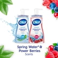 thumbnail image 5 of Dial Foaming Hand Wash, Spring Water & Power Berries, 10 oz., 4 pk., 5 of 11