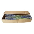 thumbnail image 4 of Member's Mark Sea Waltz Hybrid Delphinium, choose stem count, 4 of 5