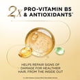 thumbnail image 3 of Pantene Pro-V Nourishing Coconut Milk & Shea Butter Shampoo, 38.2 fl. oz., 3 of 9