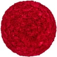 thumbnail image 1 of Member's Mark Carnations, Choose color and stem count, 1 of 7