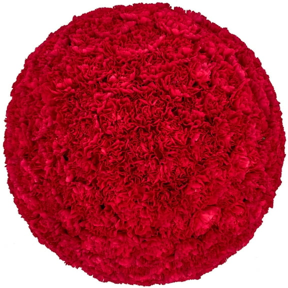 Member's Mark Carnations, choose color and stem count