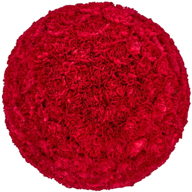 Member's Mark Carnations, Choose color and stem count