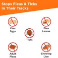 thumbnail image 2 of FRONTLINE Plus for Dogs, Flea and Tick Treatment, 8 ct. (Choose Your Size), 2 of 6