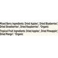 thumbnail image 3 of Cascadian Farm Fruit Bars Mixed Berry & Tropical Fruit Variety Pack 0.71 oz., 26 pk., 3 of 7