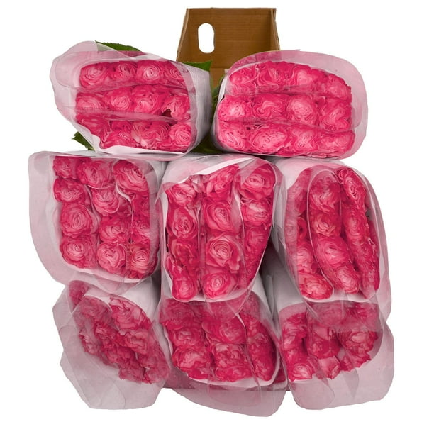 Member's Mark Illusion Roses, 96 stems, Choose color variety