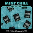 thumbnail image 5 of DUDE WIPES XL On-the-Go Flushable Wipes, Mint Chill, 4 ct., 120 wipes, 5 of 8