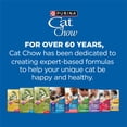 thumbnail image 10 of Purina, Cat Chow Complete, Chicken Flavored, Dry Cat Food, 25 lbs., 10 of 13
