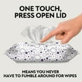 thumbnail image 5 of Member's Mark Premium Baby Wipes, Fragrance Free, 12 pk., 1152 Wipes, 5 of 14