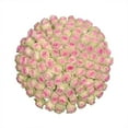 thumbnail image 1 of Member's Mark Ecuadorian Premium Roses, choose color variety and stem count, 1 of 9