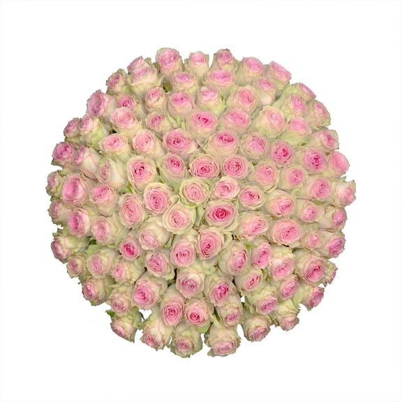 Member's Mark Ecuadorian Premium Roses, choose color variety and stem count