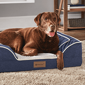 Serta Perfect Sleeper X Knox Hybrid Mattress