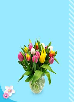 Easter Flowers starting at just $10.97