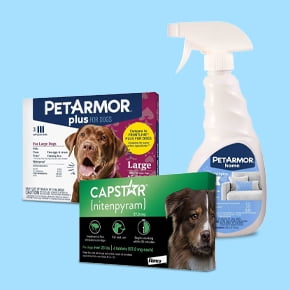 tobacco for deworming dogs PetArmor 7 Way De-Wormer Dogs, Oral Treatment of Tapeworm, Roundworm & Hookworm, Dewormer for Puppies & Small (6-25 lbs), Worm Remover (Praziquantel & Pyrantel Pamoate), 2 Flavored Chewables Elanco Tapeworm Dewormer for Dogs